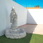 Molly92 * Antigua (Fuerteventura)