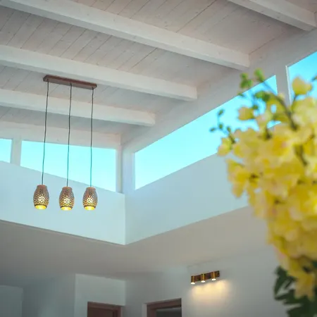 Molly92 Antigua (Fuerteventura)