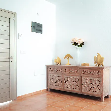 Molly92 Antigua (Fuerteventura)