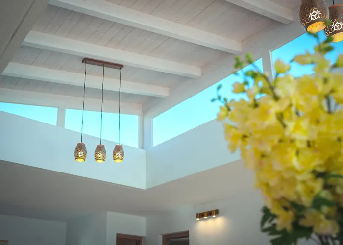 Molly92 אנטיגואה